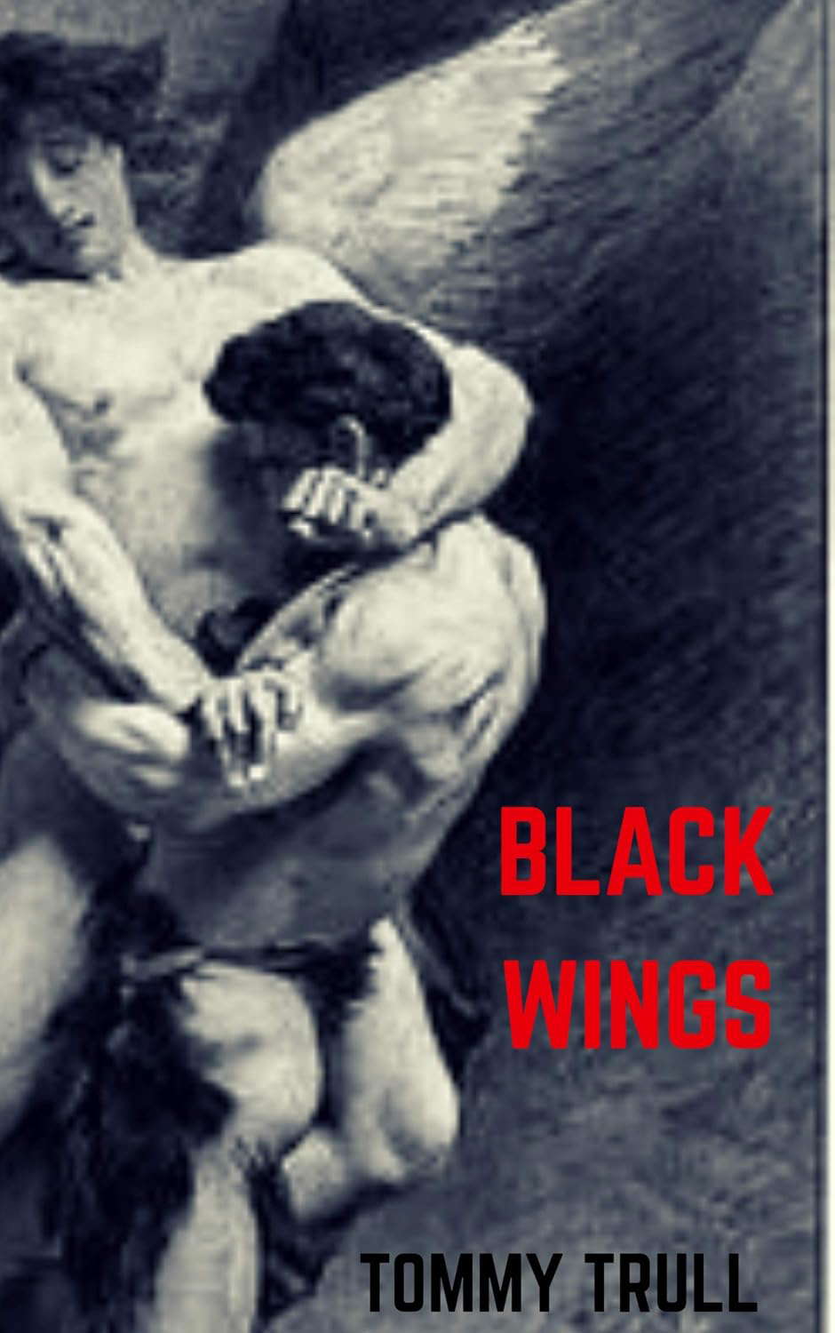 BLACK WINGS poster