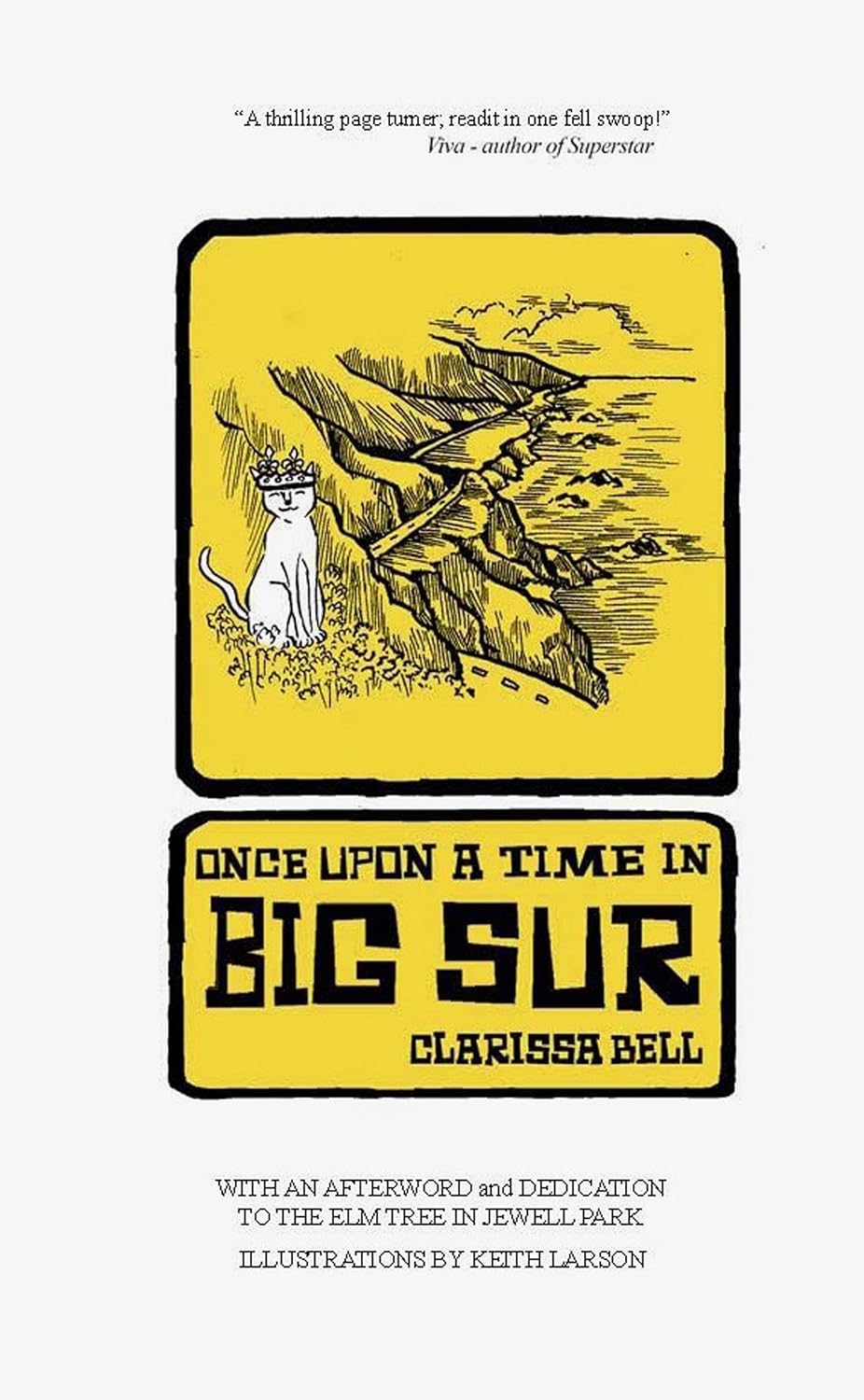 Once Upon a Time in Big Sur poster