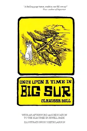 Once Upon a Time in Big Sur poster