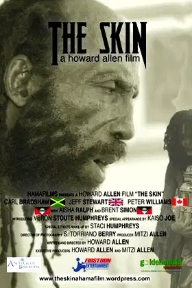 The Skin poster