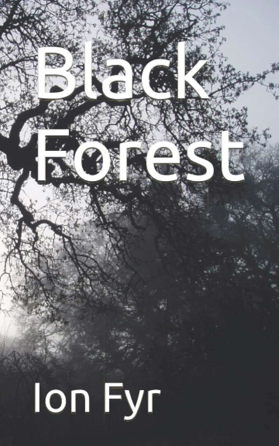 Black Forest poster