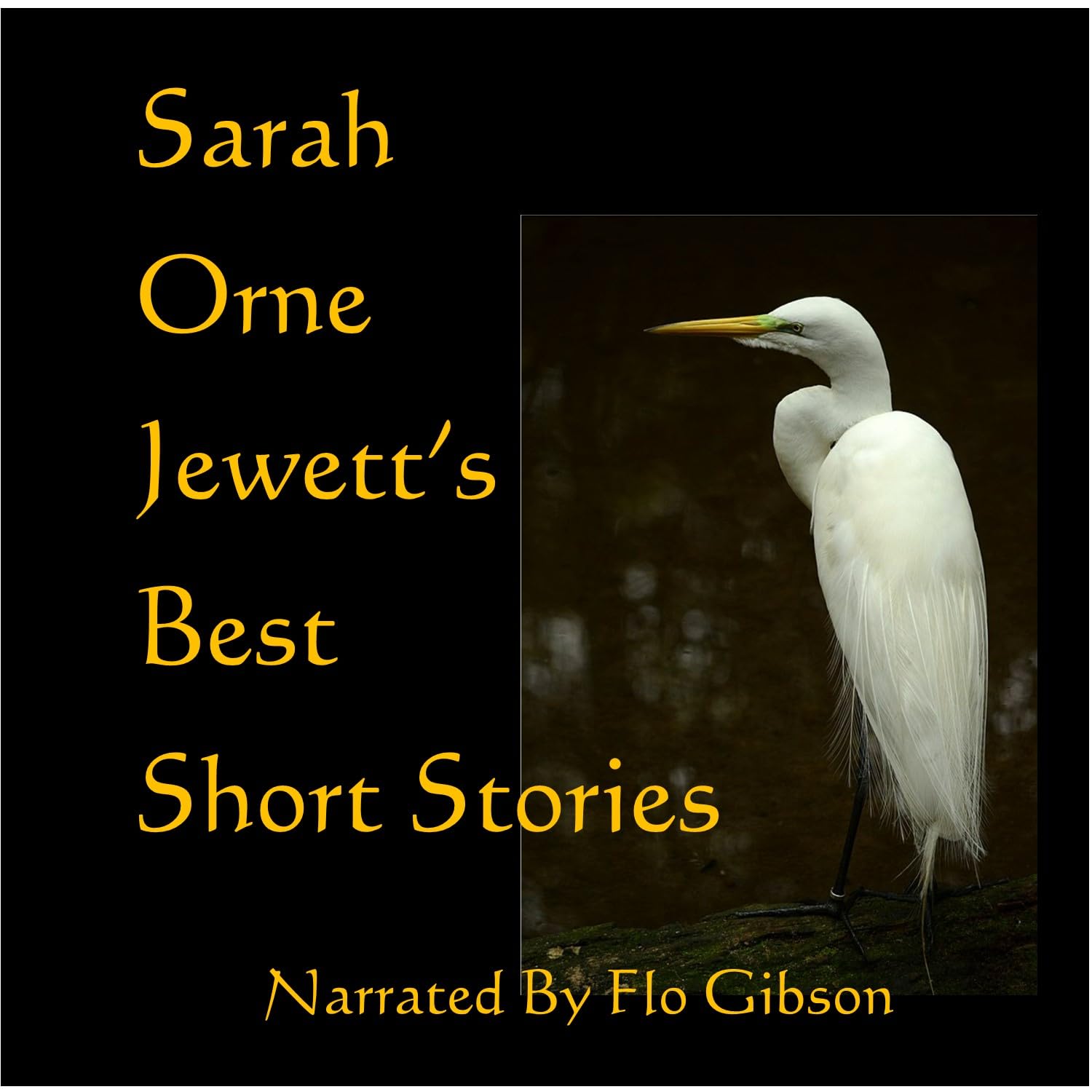 Sarah Orne Jewett's Best Short Stories (Classic Books on Cd) poster
