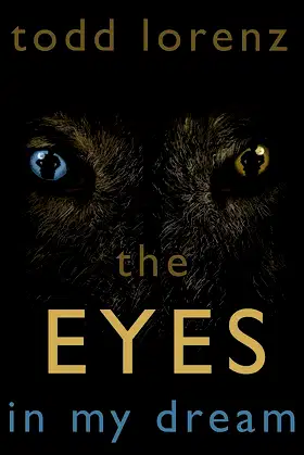 The Eyes In My Dream poster