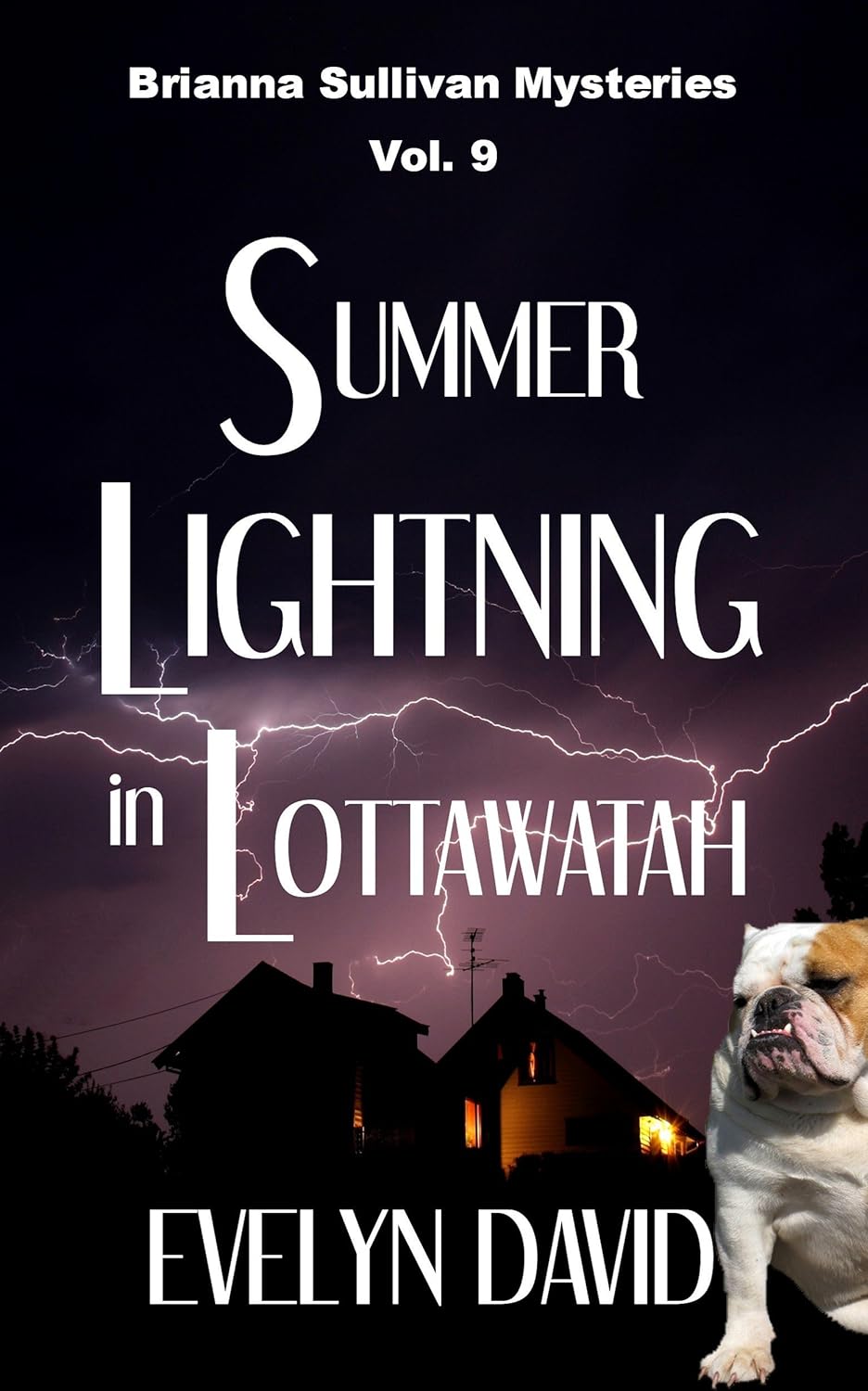 Summer Lightning in Lottawatah (Brianna Sullivan Mysteries Book 9) poster