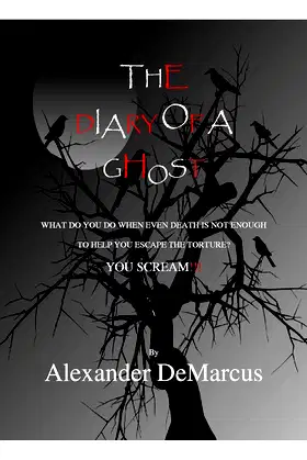 THE DIARY OF A GHOST poster