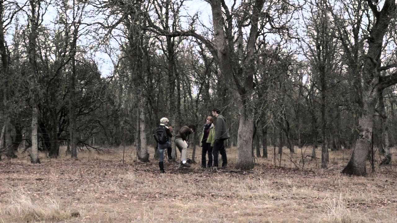 The Invoking Festival Trailer