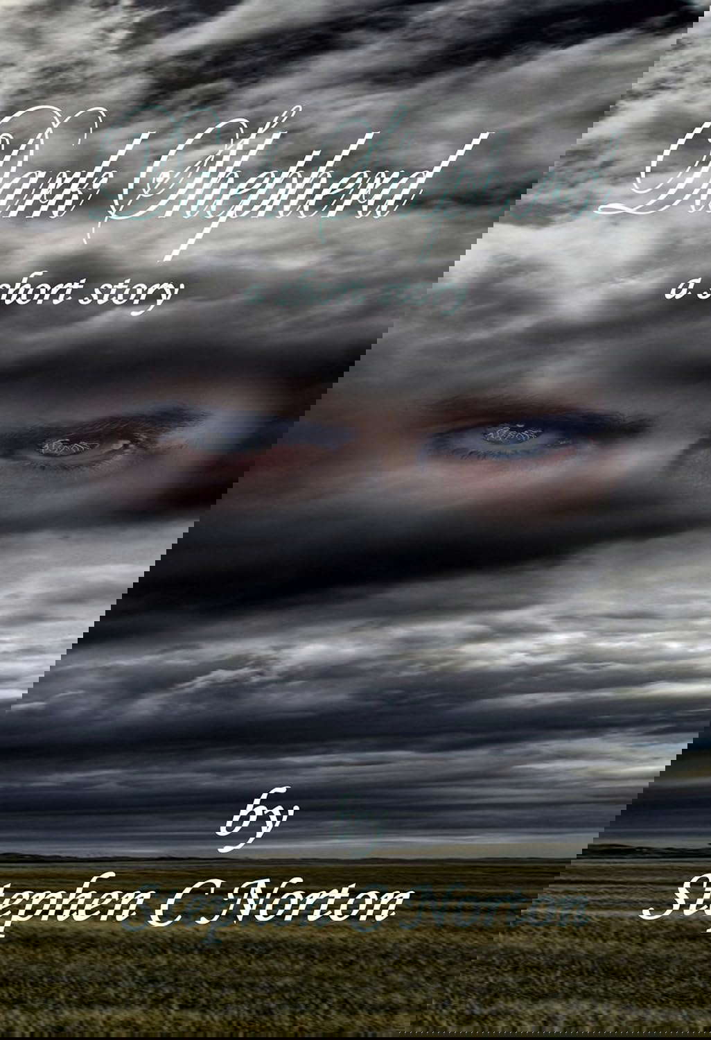Dark Shepherd poster