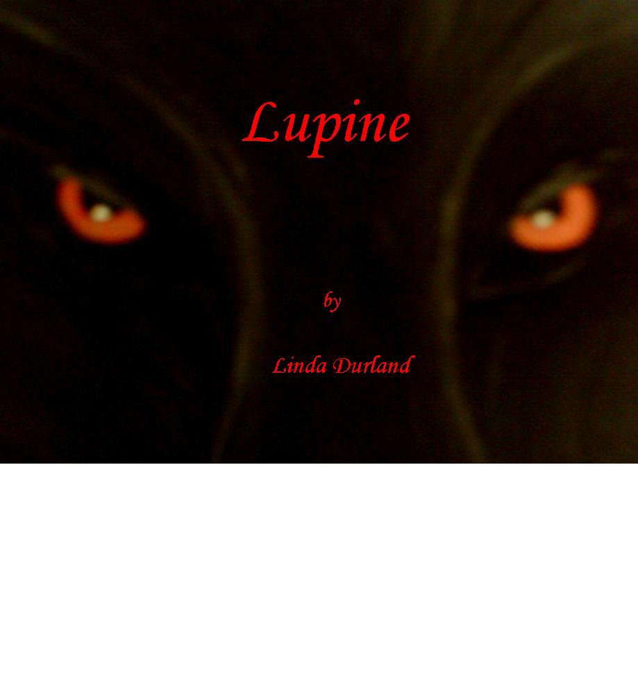Lupine poster