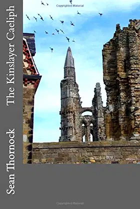 The Kinslayer Caeliph poster