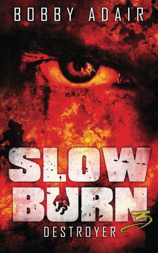 Slow Burn: Destroyer, Book 3 poster