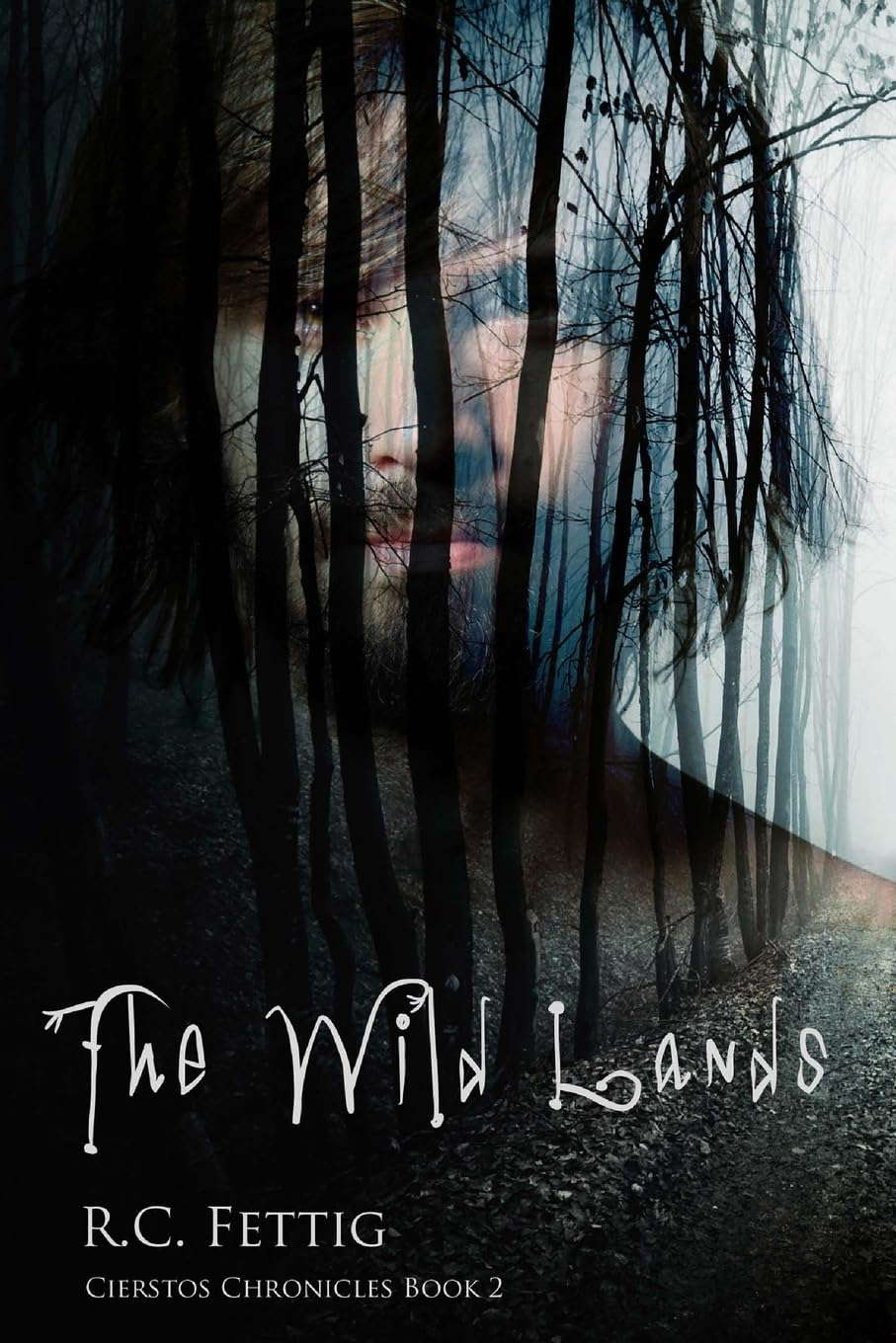 The Wild Lands: Cierstos Chronicles Book 2 poster