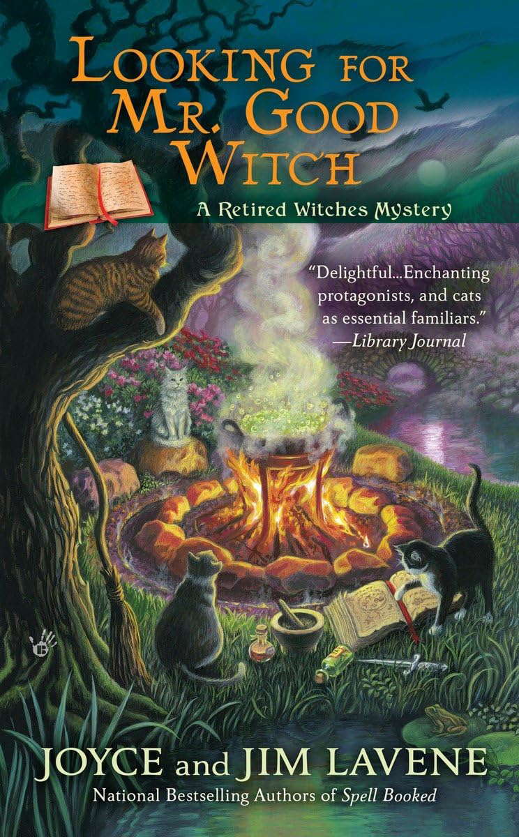 Looking for Mr. Good Witch (Retired Witches Mysteries) poster