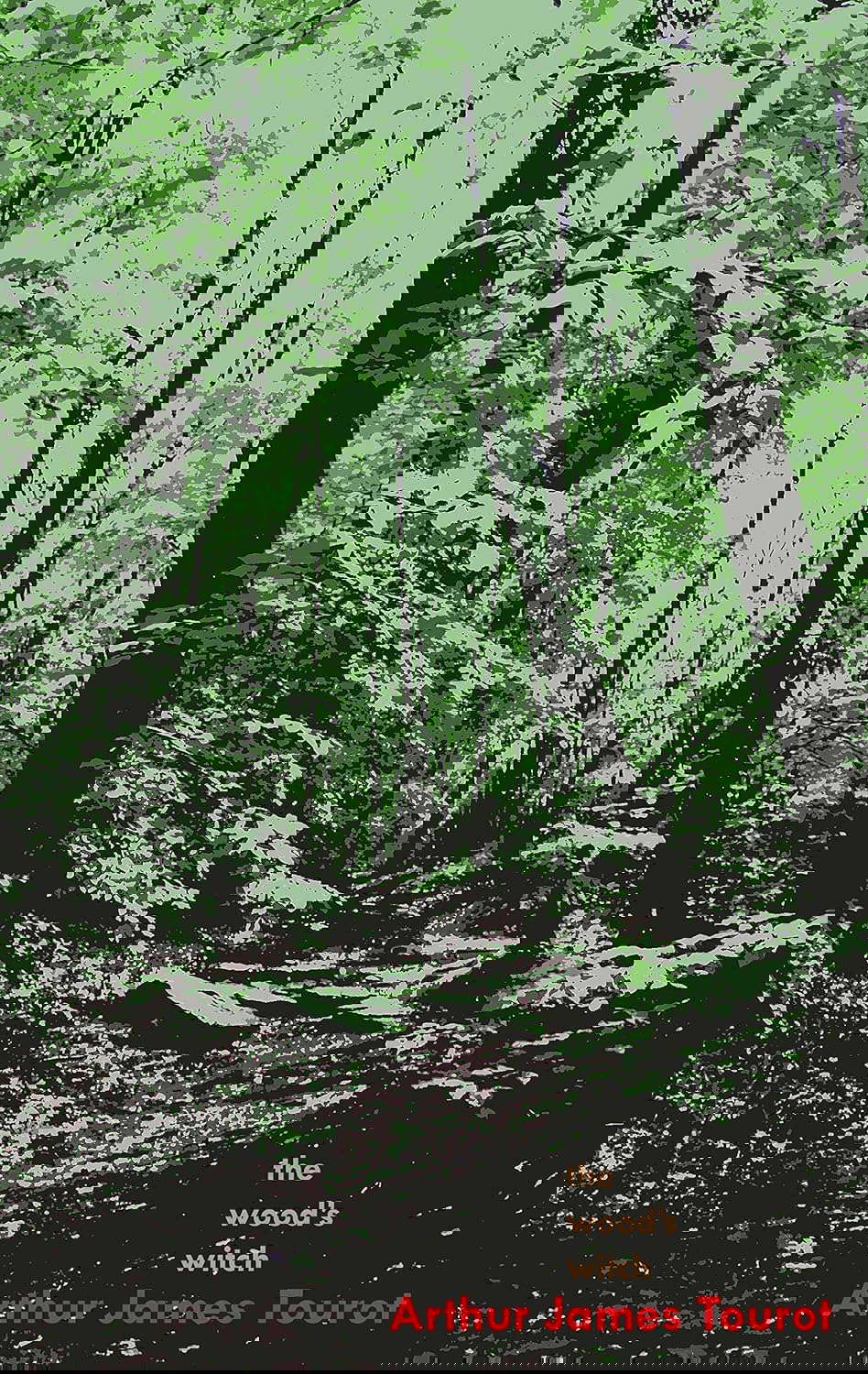 The Wood's Witch (Second Edition) poster