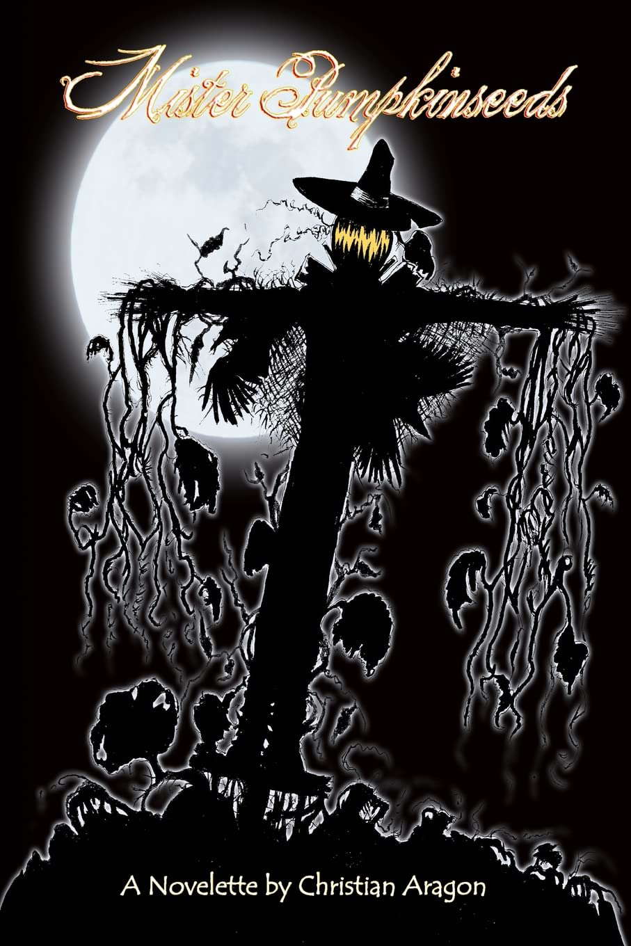 Mister Pumpkinseeds poster