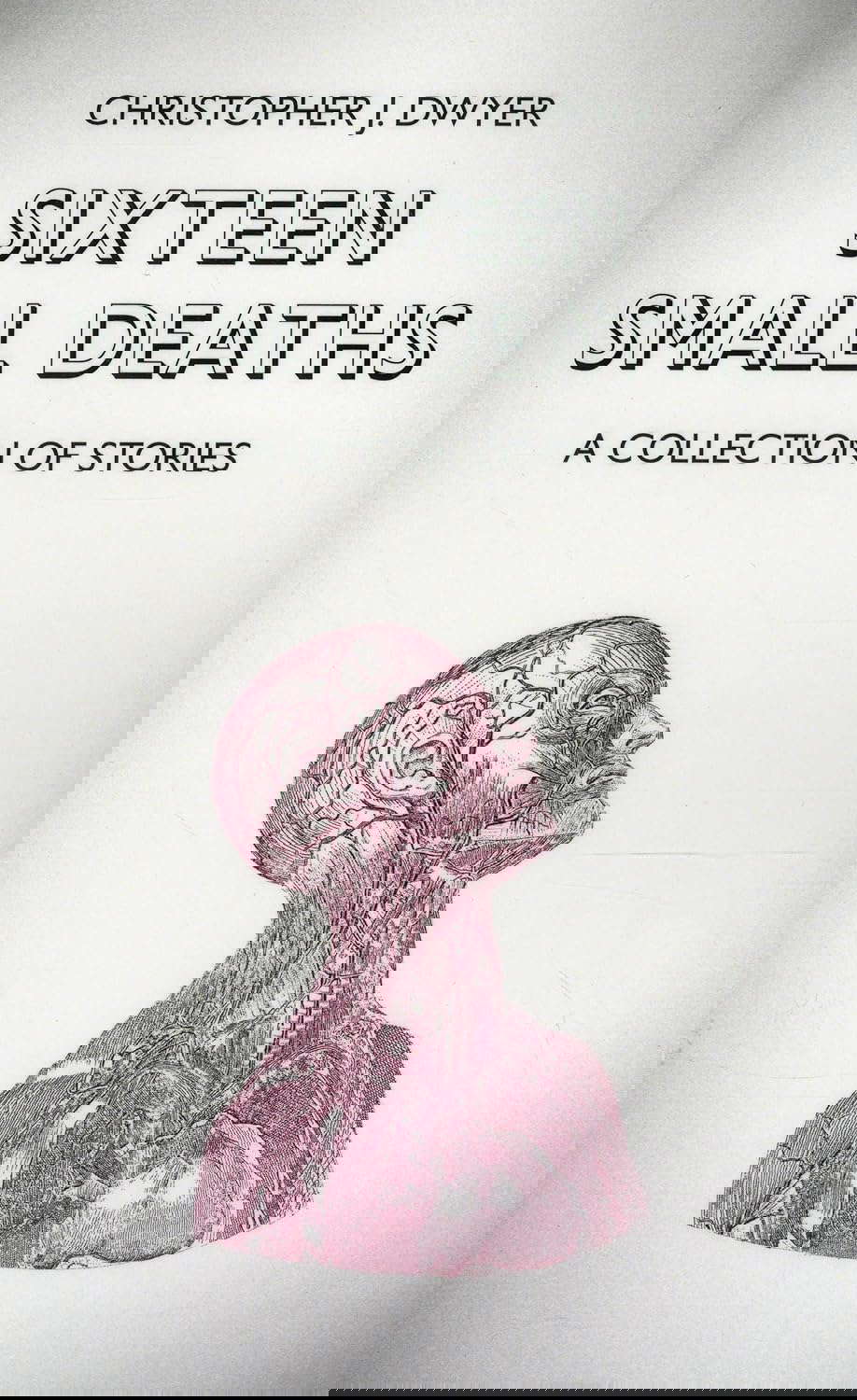 Sixteen Small Deaths: A Collection of Stories poster