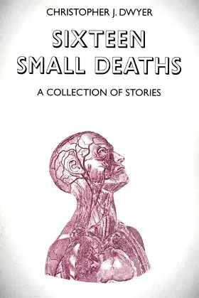 Sixteen Small Deaths: A Collection of Stories poster