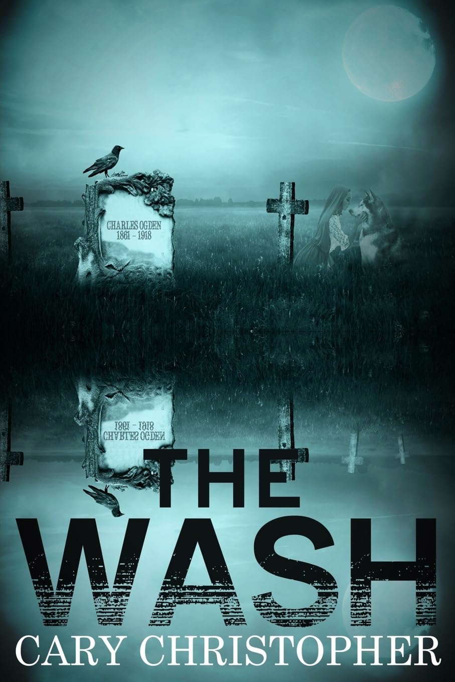 The Wash poster