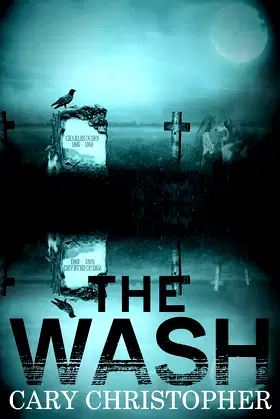 The Wash poster