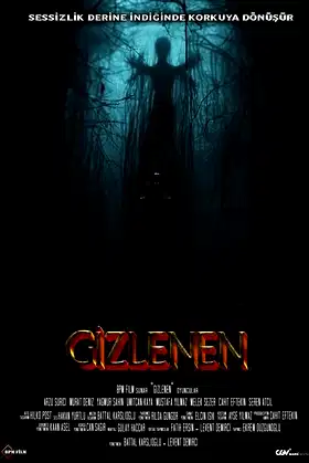 Gizlenen poster