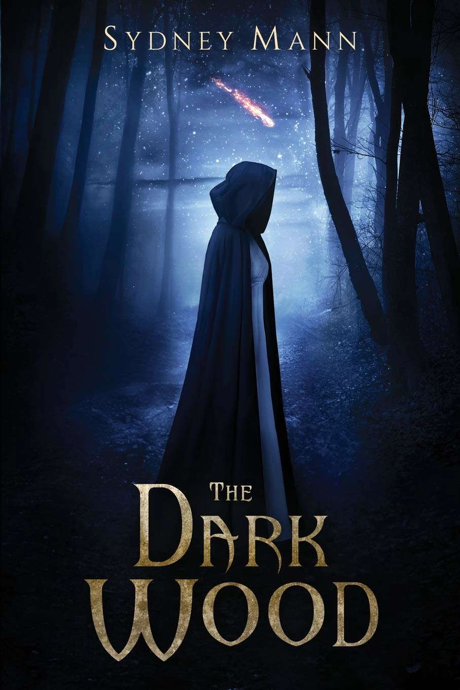 The Dark Wood poster