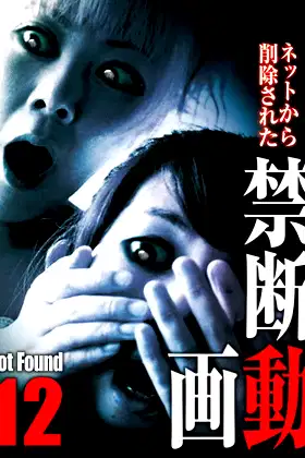 Not Found 12 poster