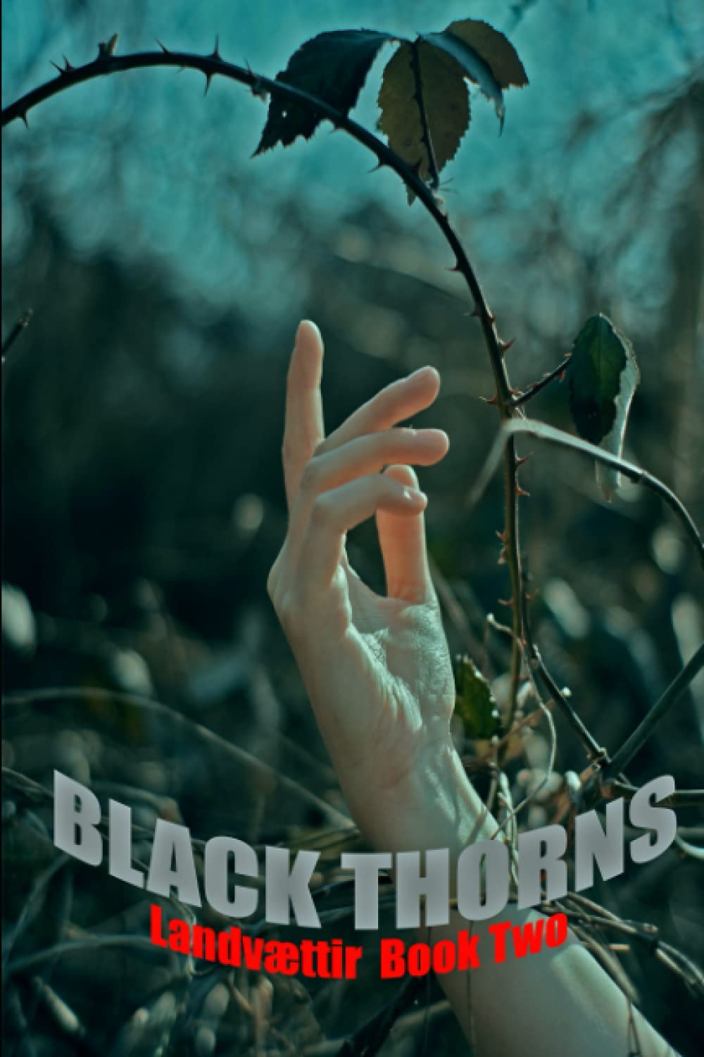 Black Thorns: Landvættir Book Two poster