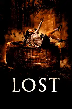Lost poster