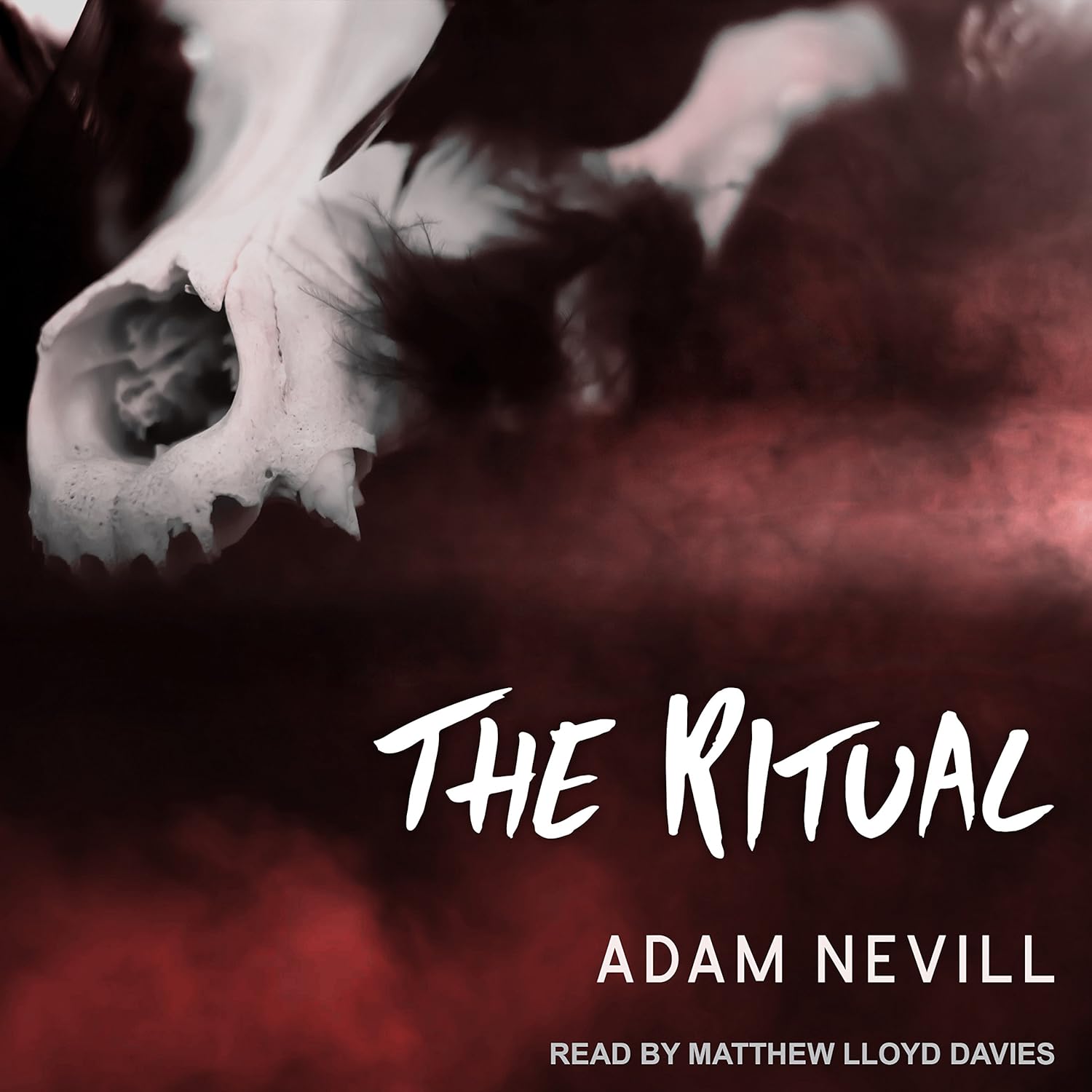 The Ritual poster
