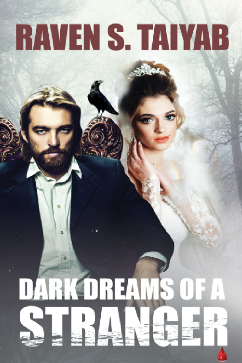 DARK DREAMS OF A STRANGER: A PARANORMAL REINCARNATION HISTORICAL ROMANCE poster