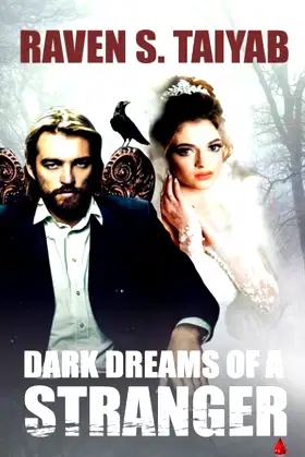 DARK DREAMS OF A STRANGER: A PARANORMAL REINCARNATION HISTORICAL ROMANCE poster