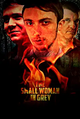 The Small Woman in Grey poster