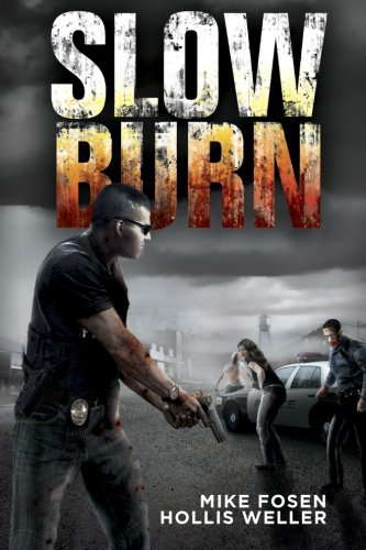 Slow Burn poster