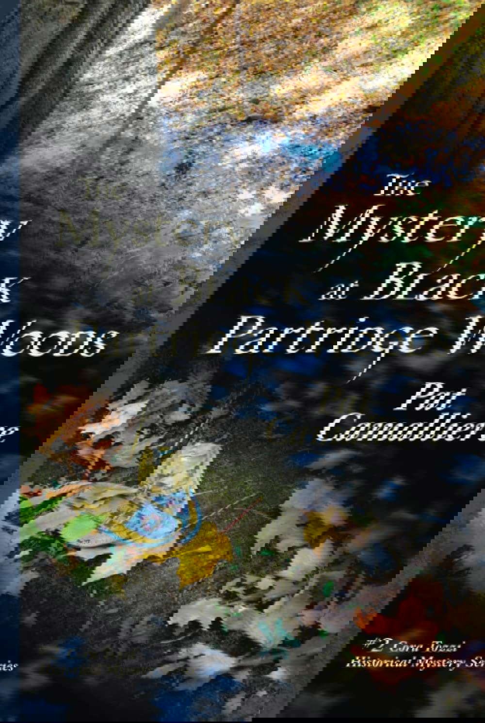 The Mystery at Black Partridge Woods poster