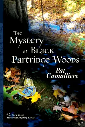 The Mystery at Black Partridge Woods poster