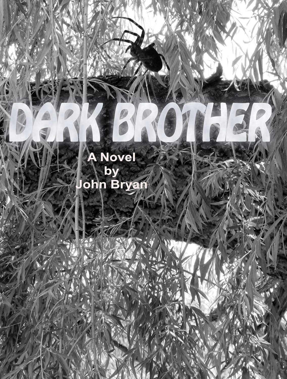 Dark Brother poster