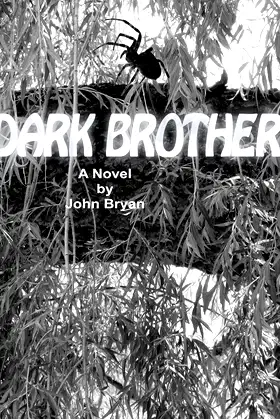 Dark Brother poster
