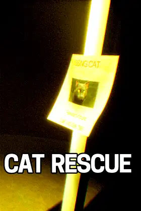 Cat Rescue poster