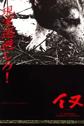 Dog poster