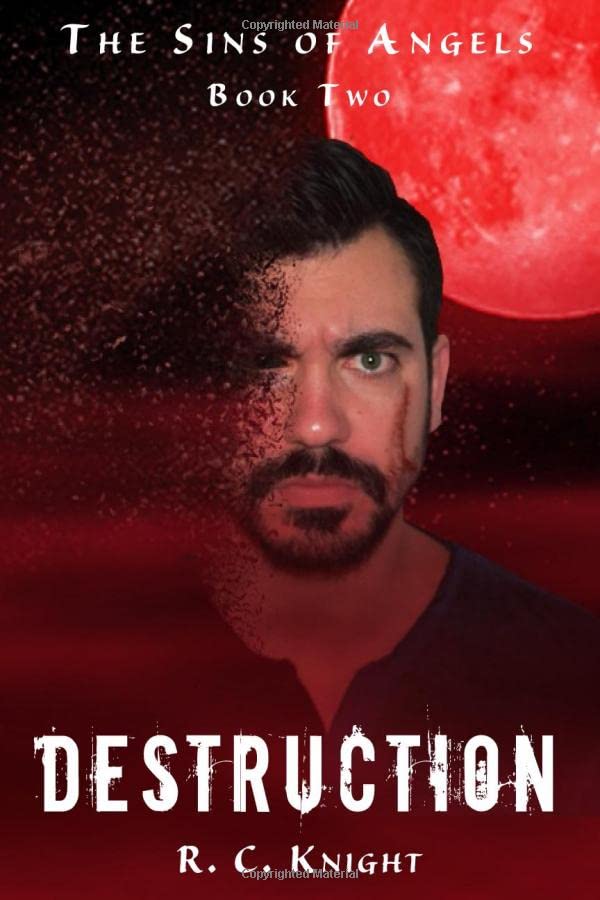 Destruction: The Sins of Angels Book Two poster