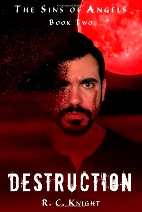 Destruction: The Sins of Angels Book Two poster