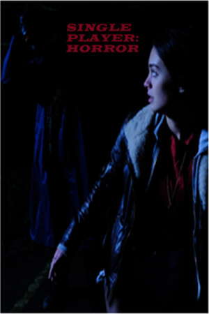 Single Player: Horror poster