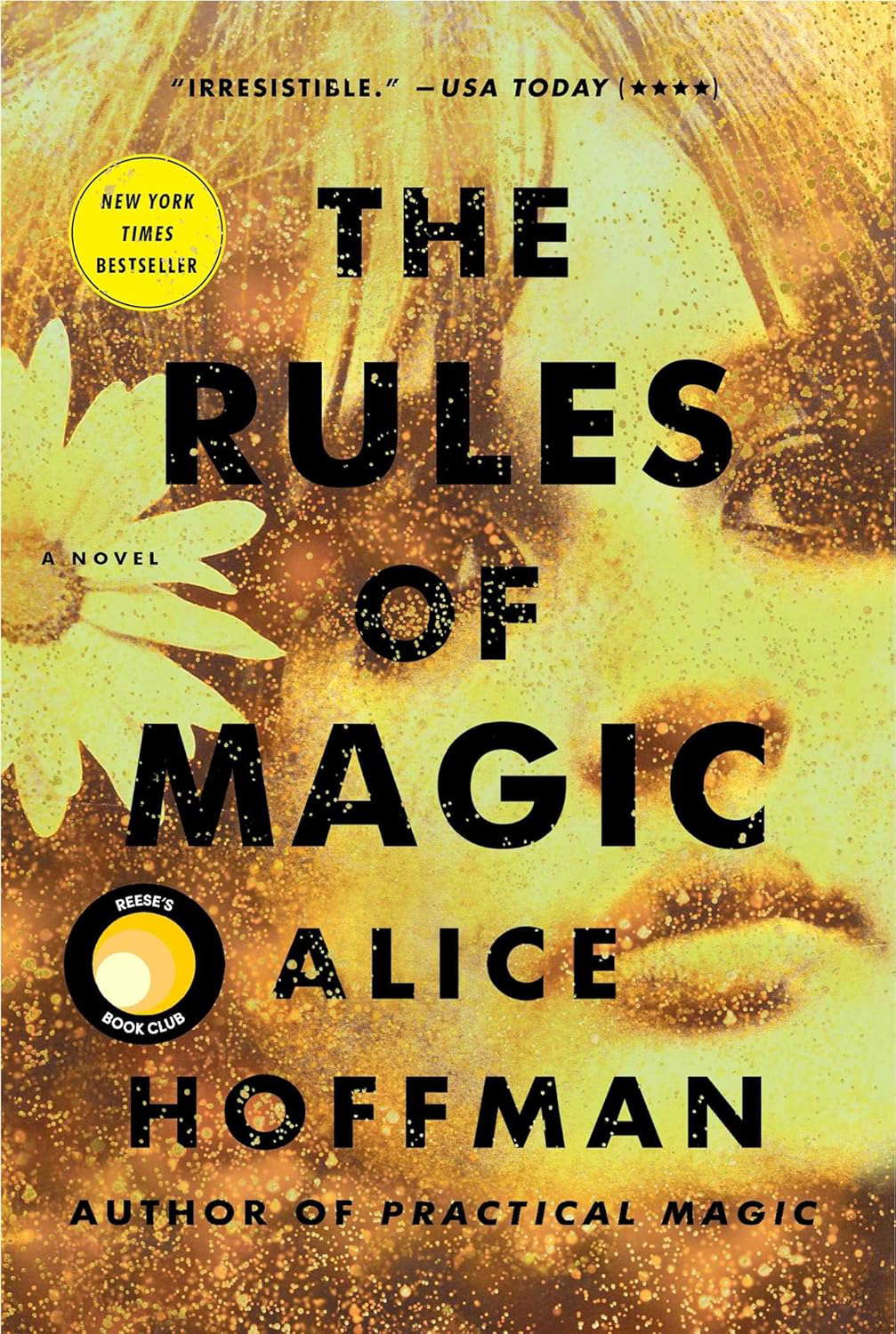 The Rules of Magic (Volume 2) poster