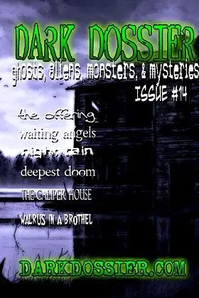 Dark Dossier #14: The Magazine of Ghosts, Aliens, Monsters, & Mysteries! poster