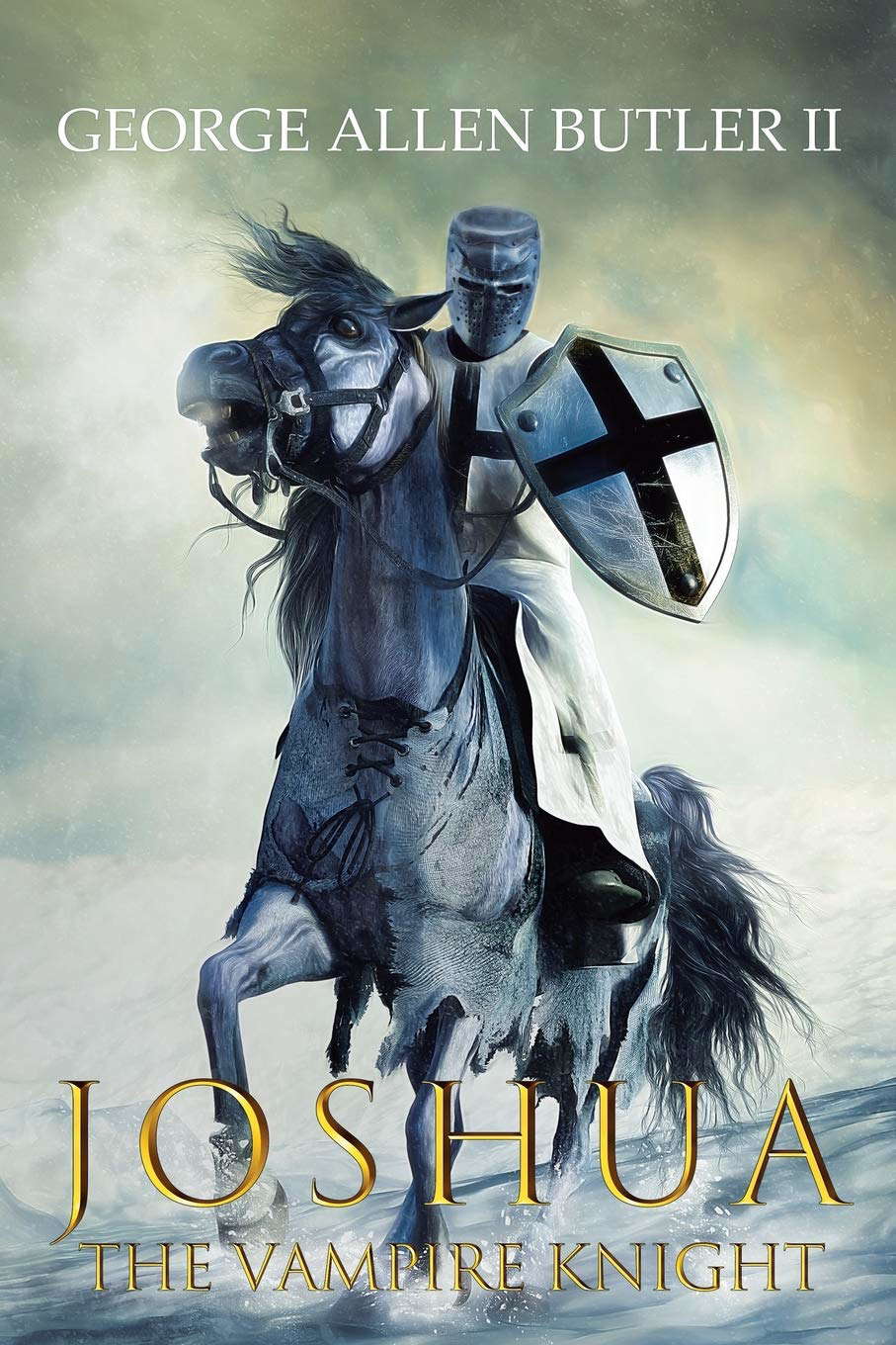 Joshua The Vampire Knight poster