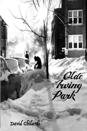 Olde Irving Park poster