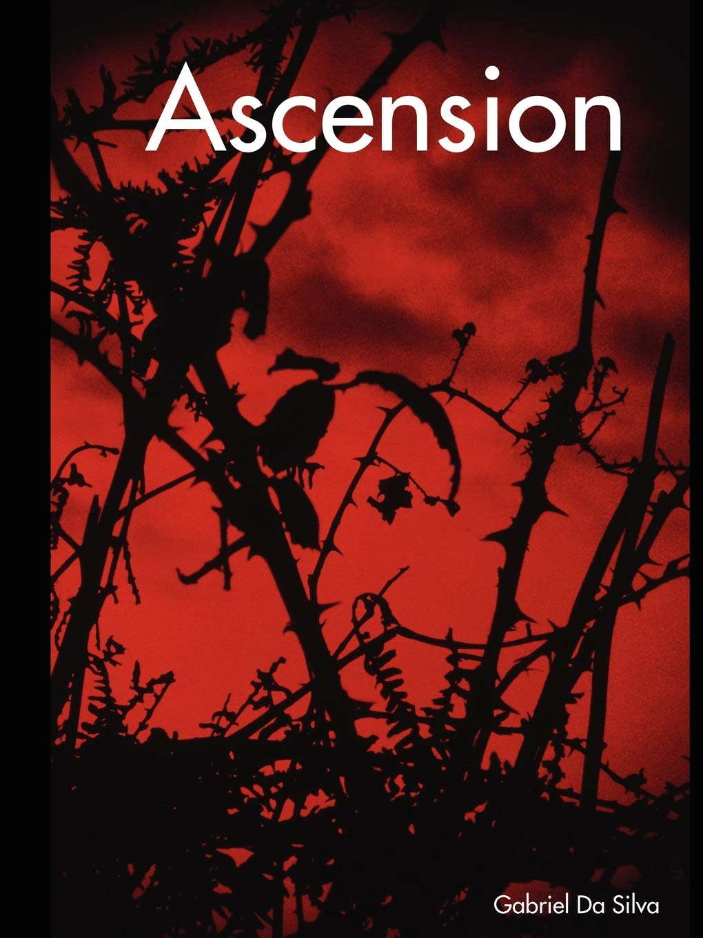 Ascension poster