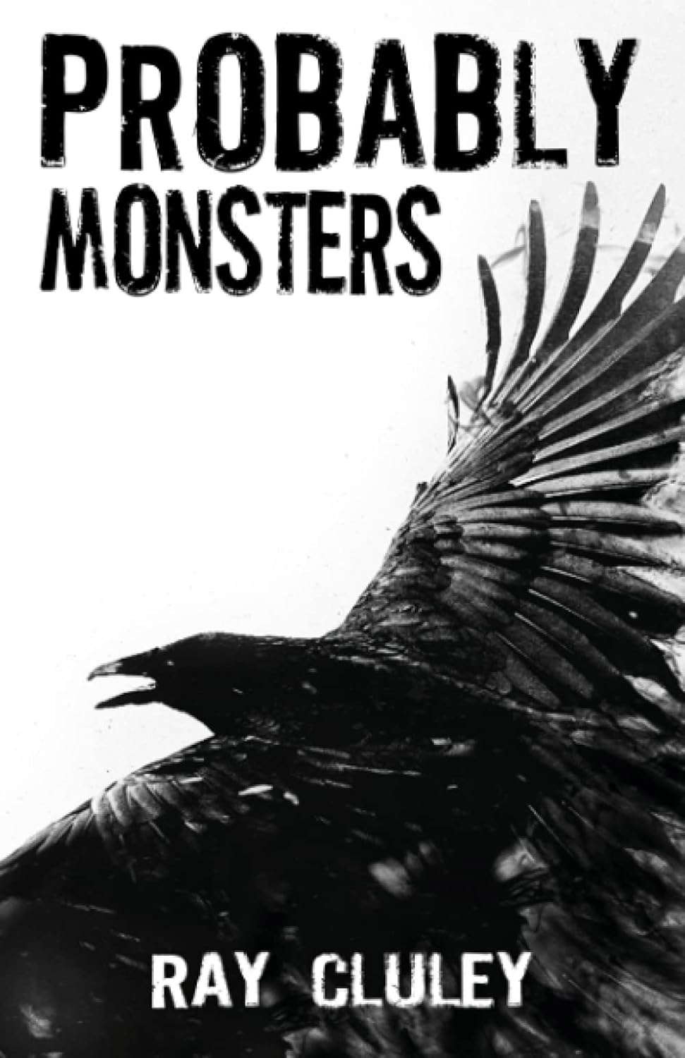 Probably Monsters poster
