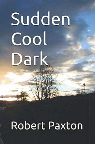 Sudden Cool Dark poster