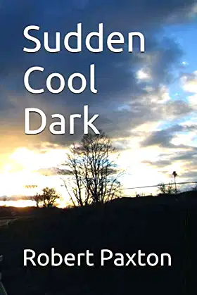Sudden Cool Dark poster