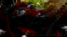 episode poster